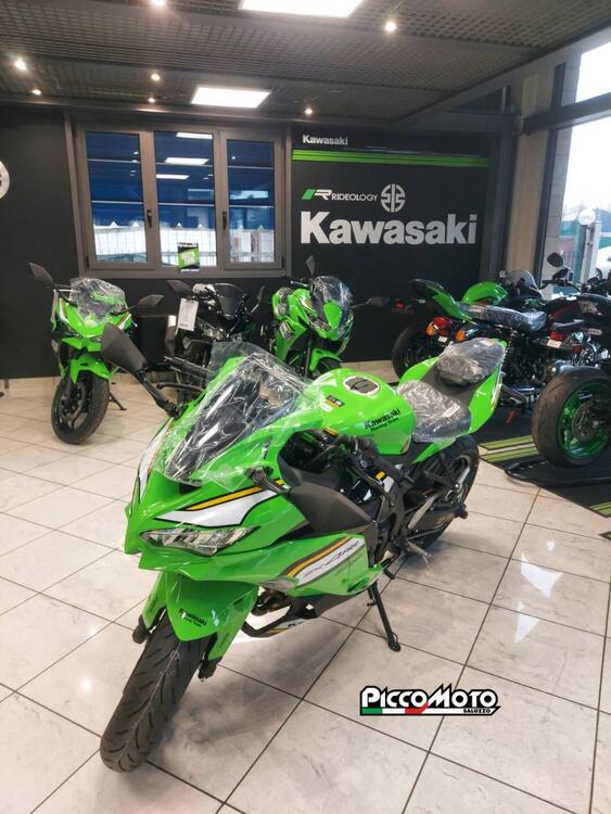Kawasaki Ninja ZX-4RR (2024 - 26) (2)