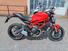 Ducati Monster 797 (2017 - 18) (6)