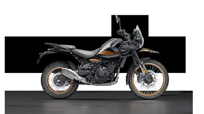 Royal Enfield Himalayan 450 (2024 - 26) nuova
