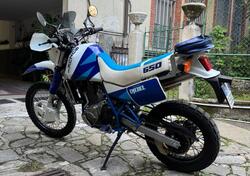 Suzuki DR 650 R (1990 - 91) usata