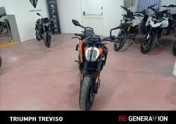 KTM 790 Duke L (2023 - 24) usata