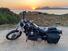 Harley-Davidson 1584 Wide Glide (2007 - 11) - FXDWG (8)