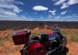 Moto Guzzi California 1400 Touring (2017 - 20) usata