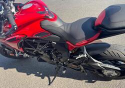 MV Agusta Turismo Veloce 800 R (2023 - 25) usata