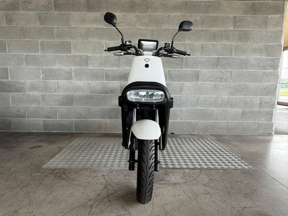 Yadea Y1S Pro Utility (2023 - 25) (2)