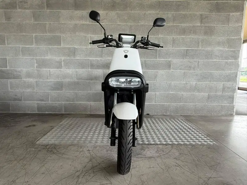 Yadea Y1S Pro Utility (2023 - 26) (2)