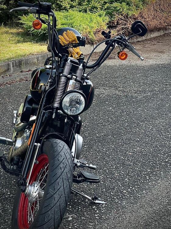Harley-Davidson 1584 Cross Bones (2008 - 11) - FLSTSB (3)