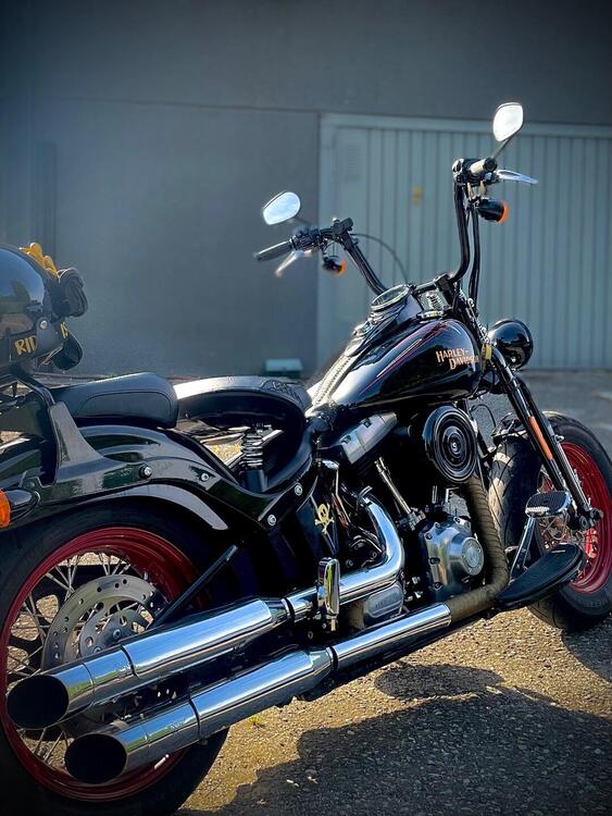 Harley-Davidson 1584 Cross Bones (2008 - 11) - FLSTSB (4)