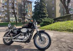 Harley-Davidson 883 Standard (2001 - 05) - XL 883 usata