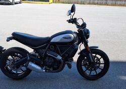 Ducati Scrambler 800 Icon Dark (2021 - 22) usata