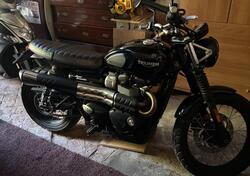 Triumph Street Scrambler 900 (2017 - 18) usata