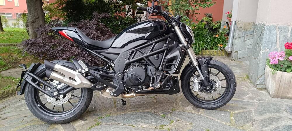 Benelli 502 C (2021 - 25)