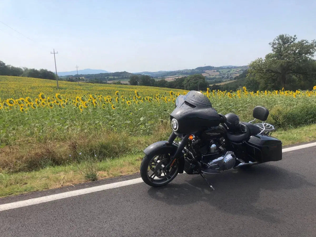 Harley-Davidson 1690 Street Glide Special (2014 - 16) - FLHX (10)