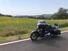 Harley-Davidson 1690 Street Glide Special (2014 - 16) - FLHX (10)