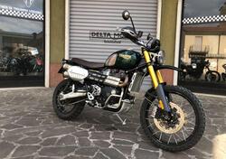 Triumph Scrambler 1200 Steve McQueen Edition (2021 - 22) usata