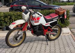 Yamaha XT 600 Z (1983 - 90) usata