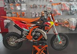 KTM 65 SX (2024 - 25) usata
