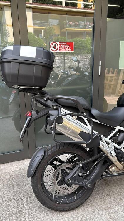 Triumph Tiger 1200 Rally Explorer (2022 - 23) (3)