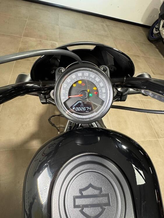 Harley-Davidson Nightster Special (2023 - 25) (5)
