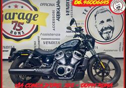 Harley-Davidson Nightster Special (2023 - 25) usata