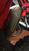 Akrapovic crf 250/300 2022/2025 (7)
