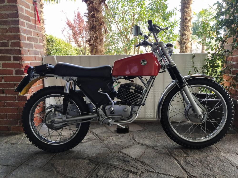 Puch 175 mc (2)