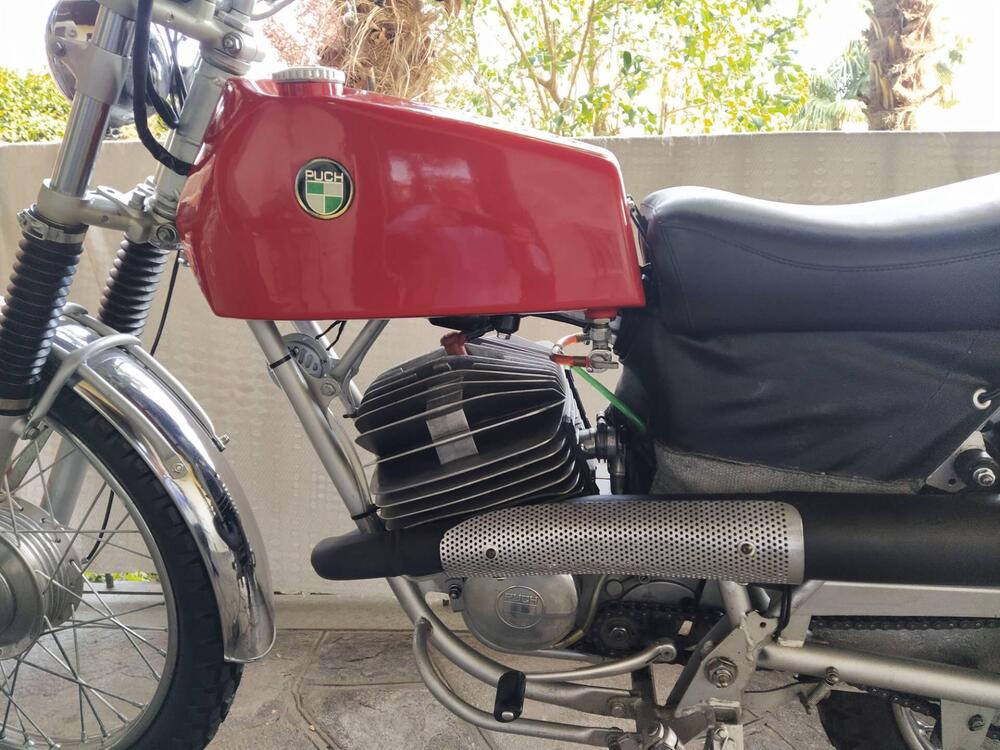 Puch 175 mc (3)