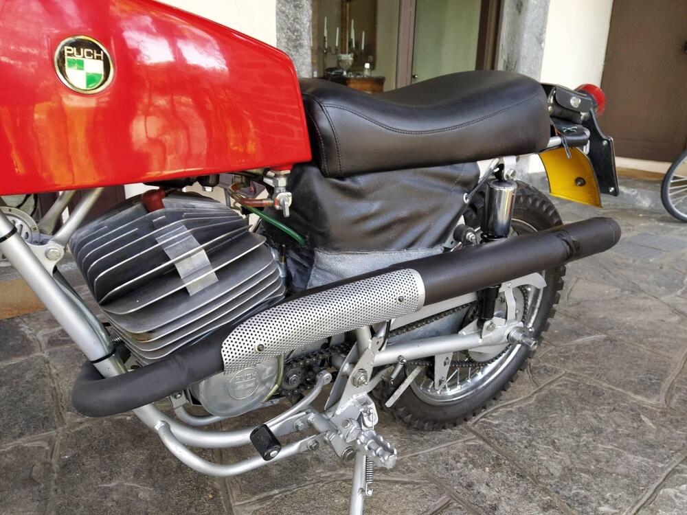 Puch 175 mc (4)
