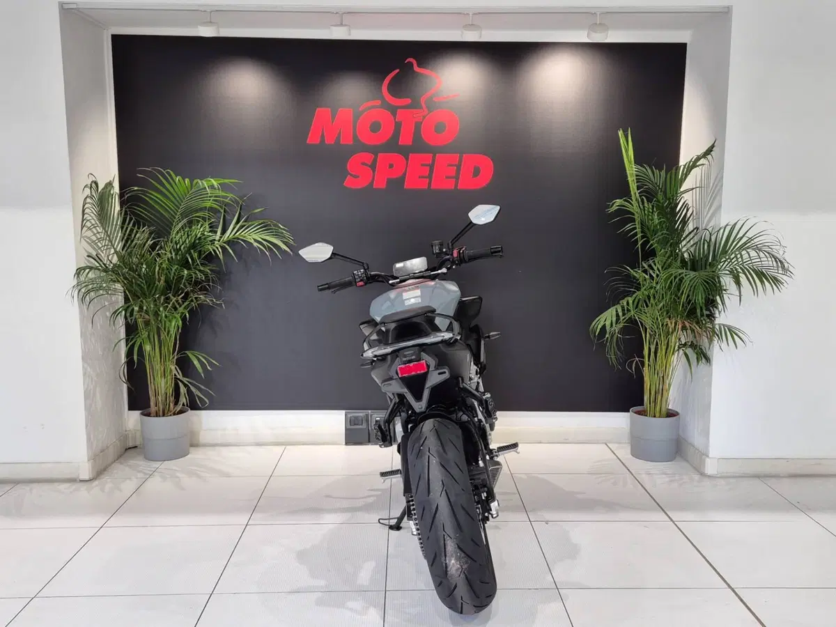 CFMOTO 675NK (2025 - 26) (7)
