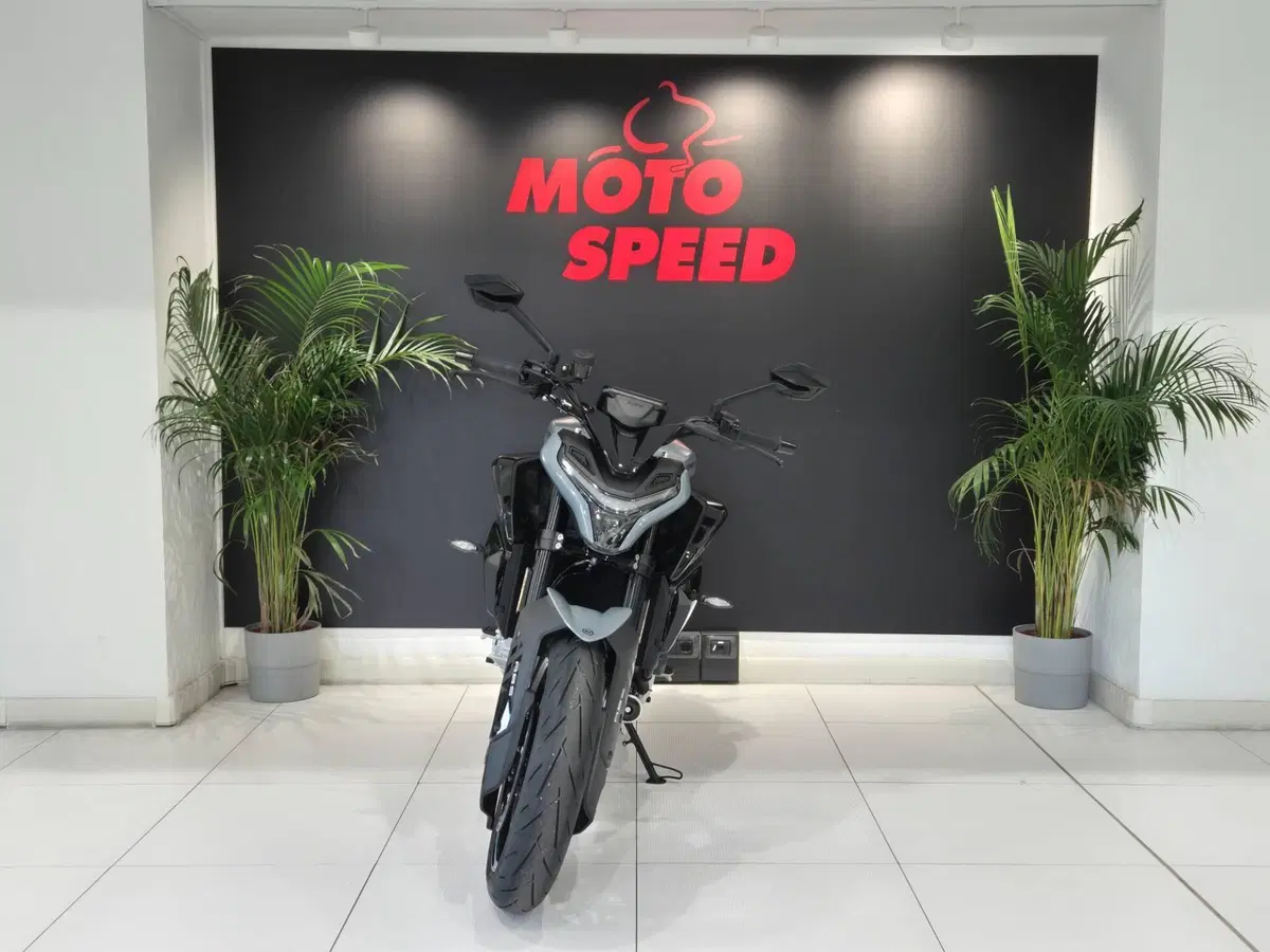 CFMOTO 675NK (2025 - 26) (4)