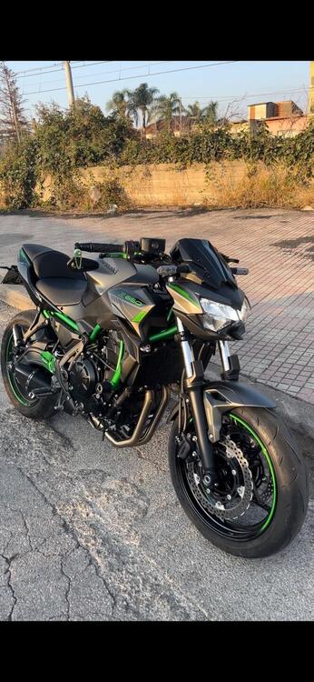 Kawasaki Z 650 (2021 - 24)