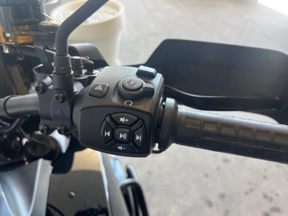 Harley-Davidson Pan America 1250 Special (2020 - 25) (5)