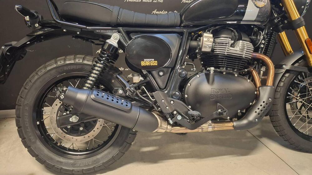 Royal Enfield Bear 650 (2025) (3)