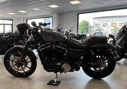 Harley-Davidson 883 Iron (2017 - 20) - XL 883N usata