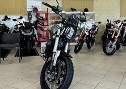 Voge Trofeo 300ACX Scrambler (2021 - 25) nuova