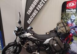 Betamotor Alp X (2024 - 25) nuova