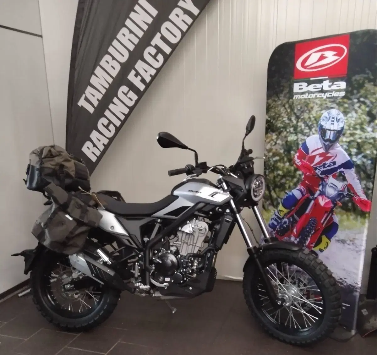 Betamotor Alp X (2024 - 26) (2)