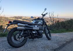 Triumph Street Scrambler 900 (2019 - 20) usata