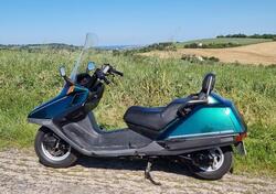 Honda CN 250 usata