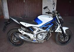 Suzuki Gladius 650 SFV (2009 - 15) usata