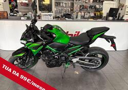 Kawasaki Z 900 A2 (2021 - 24) usata