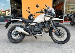 Royal Enfield Himalayan 450 (2024 - 25) usata