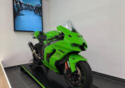 Kawasaki Ninja 1000 ZX-10RR (2021 - 23) nuova