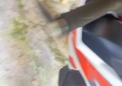 KTM 890 Adventure (2022) usata