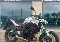 Kawasaki Z 650 (2021 - 24) usata