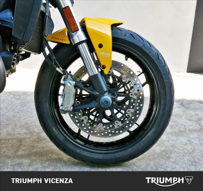 Ducati Monster 821 (2018 - 20) (14)