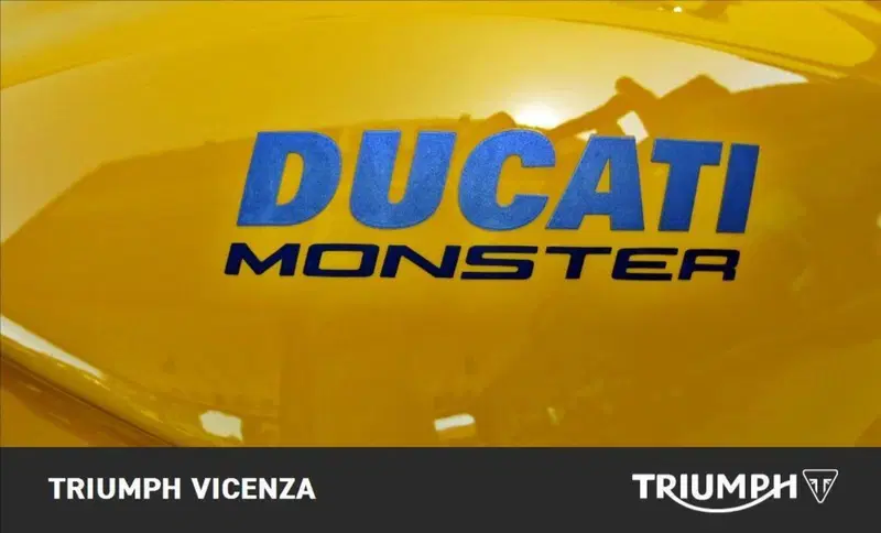 Ducati Monster 821 (2018 - 20) (9)