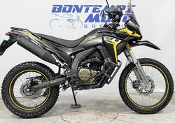 Voge Valico 300 Rally (2022 - 25) nuova