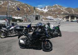 Kawasaki Ninja 1000 SX Tourer (2021 - 24) usata