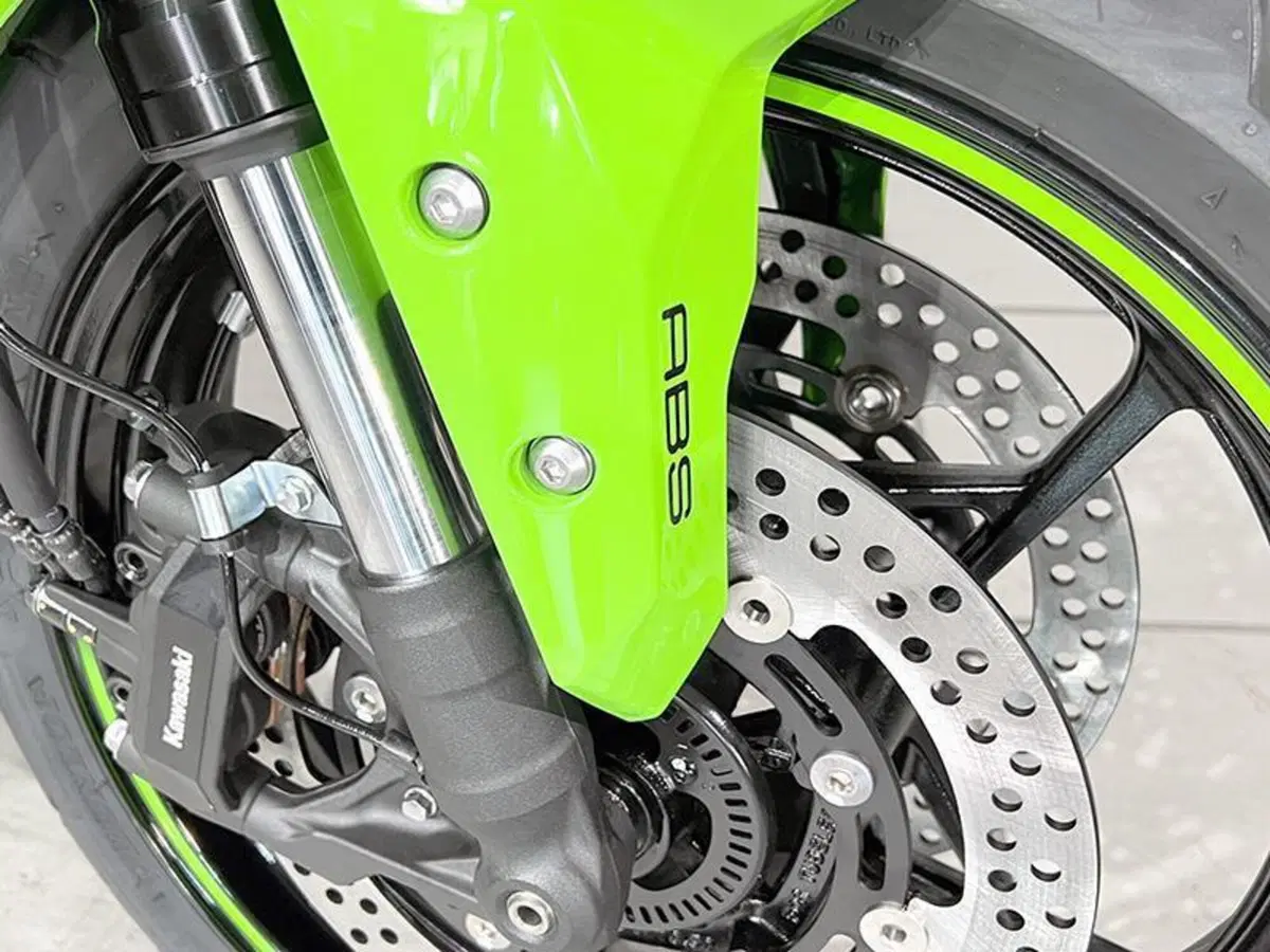 Kawasaki Ninja ZX-4RR (2024 - 26) (4)